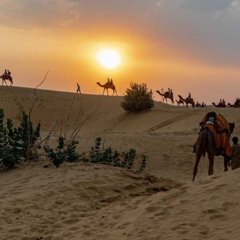 Rajasthan Tour Packages
