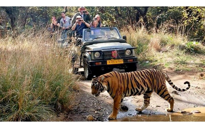 5 Days Golden Triangle Tour with Ranthambhore Tiger Safari