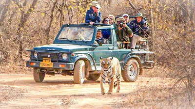 8 Nights 9 Days Golden Triangle Tour with Ranthambore Tiger Safari