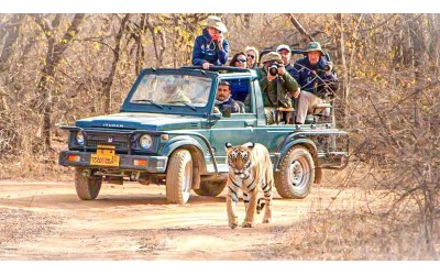 8 Nights 9 Days Golden Triangle Tour with Ranthambore Tiger Safari