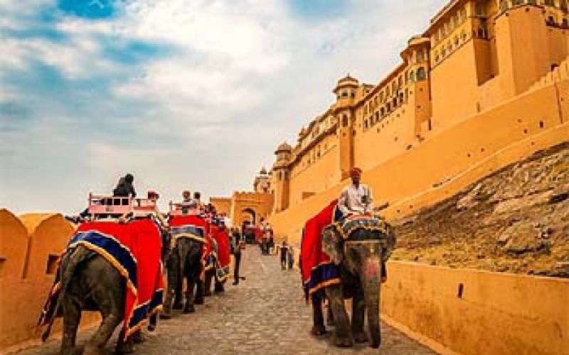 3 Days Delhi, Agra and Jaipur Tour by Car from Delhi